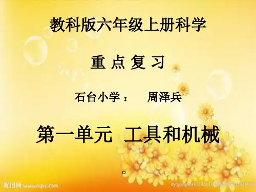教科版六年级上册科学复习 PPT
