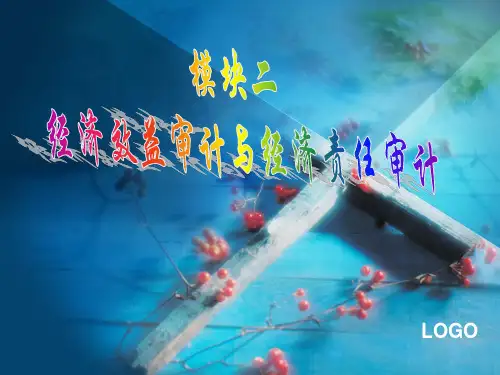 经济效益审计概述及经济效益审计内容