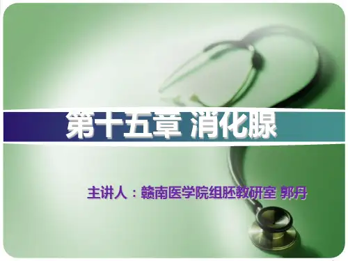 组织学与胚胎学  消化腺(2014本)