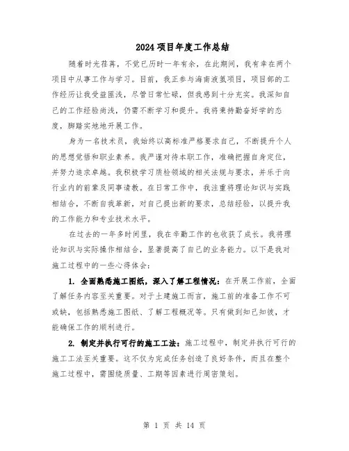 2024项目年度工作总结（六篇）