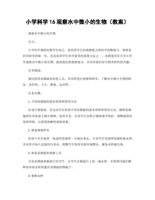 小学科学16观察水中微小的生物(教案)