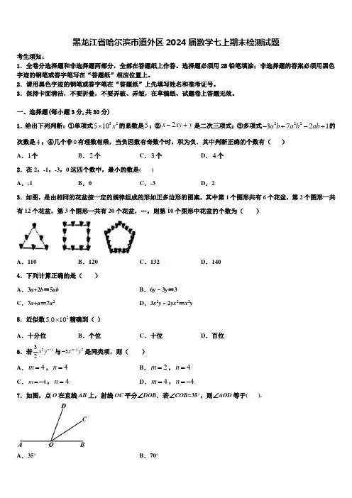 黑龙江省哈尔滨市道外区2024届数学七上期末检测试题含解析