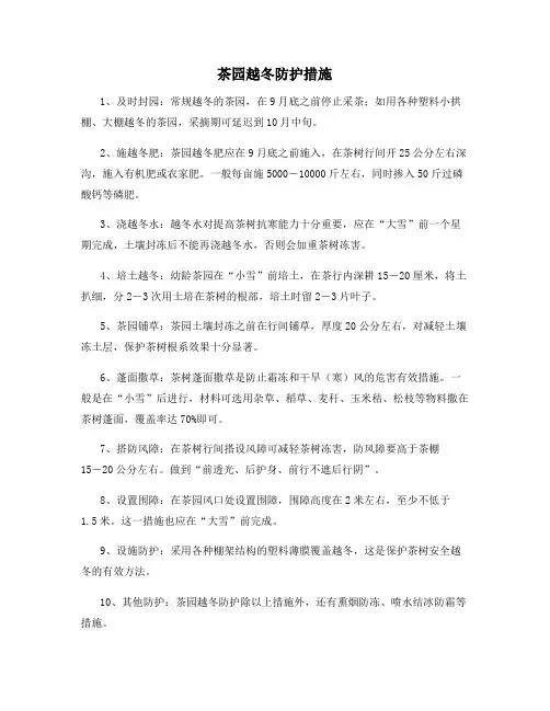 茶园越冬防护措施