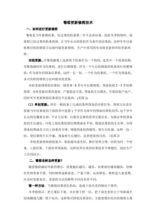 葡萄更新修剪技术