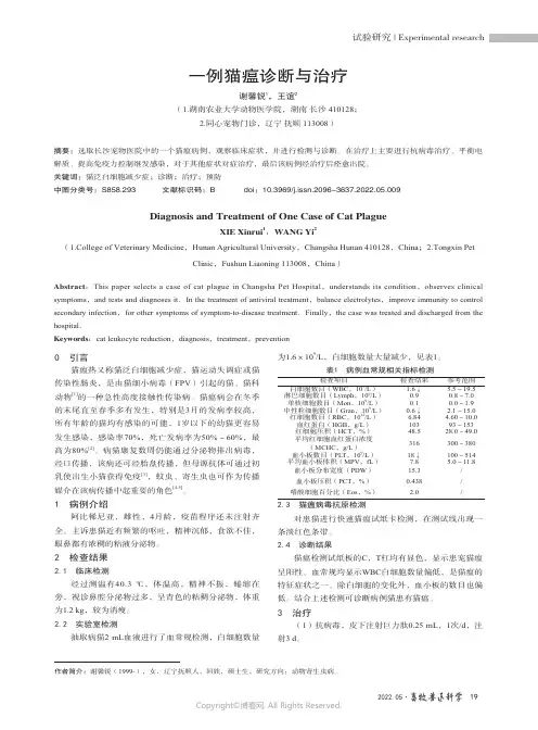 一例猫瘟诊断与治疗