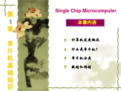 单片机基础知识PPT课件