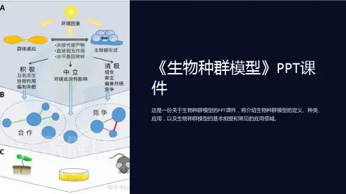 《生物种群模型》课件
