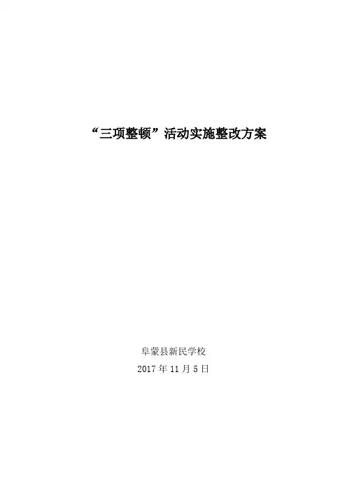 “三项整顿”活动实施整改方案