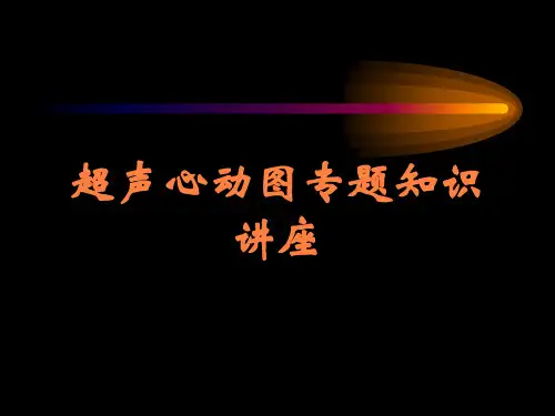 超声心动图专题知识讲座