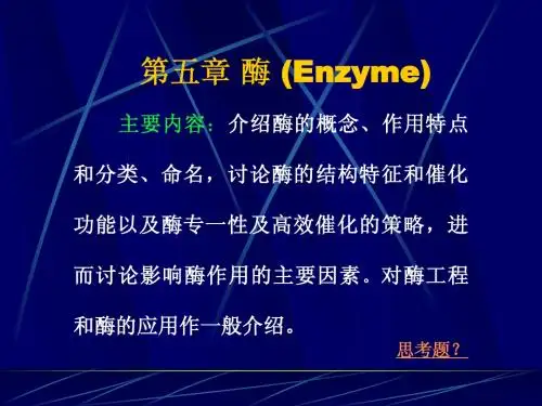 生物化学第五章酶