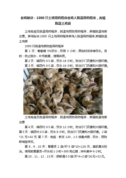 养鸡秘诀：1000只土鸡用药程序养鸡人脱温用药程序，养殖脱温土鸡苗