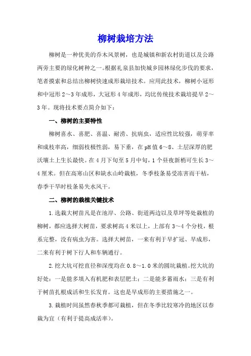 柳树栽培方法
