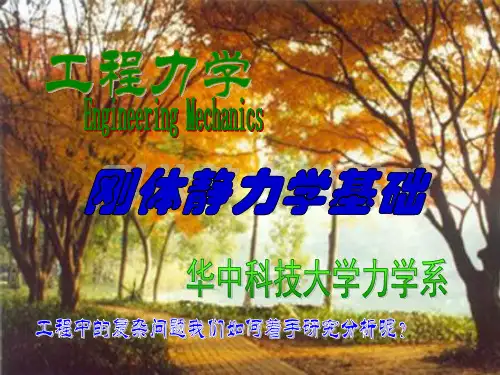 工程力学第二章基本理论