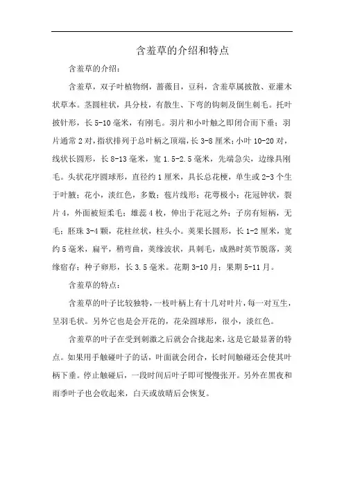 含羞草的介绍和特点