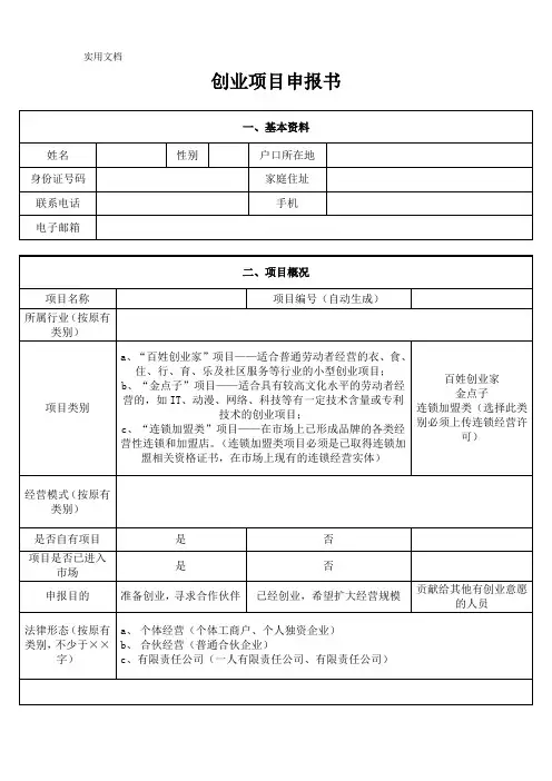 创业项目申报书-空表