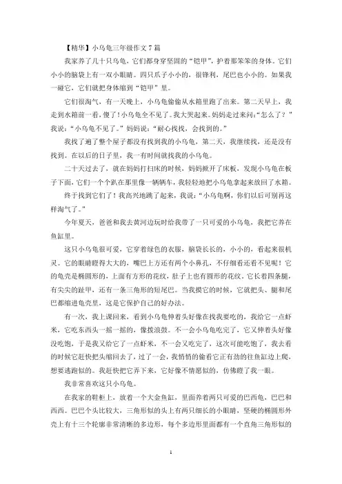 小乌龟三年级作文7篇(优秀范文)