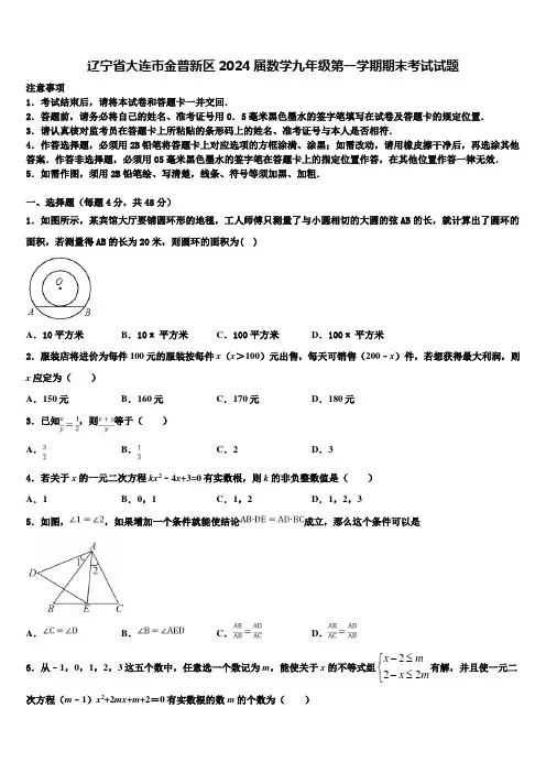 辽宁省大连市金普新区2024届数学九年级第一学期期末考试试题含解析