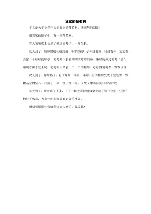 我家的葡萄树_小学作文_2