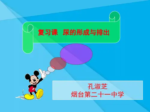 尿的形成与排出PPT课件1 北师大版优秀课件