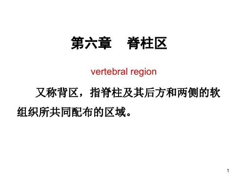 局解脊柱区