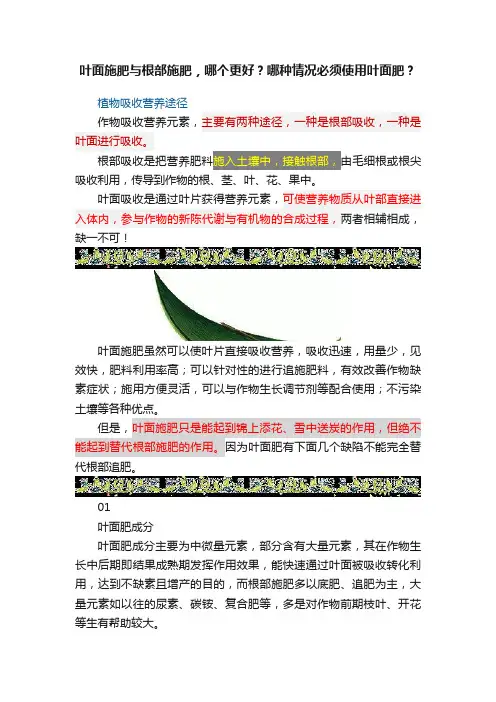 叶面施肥与根部施肥，哪个更好？哪种情况必须使用叶面肥？
