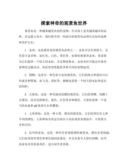 观赏鱼的品种