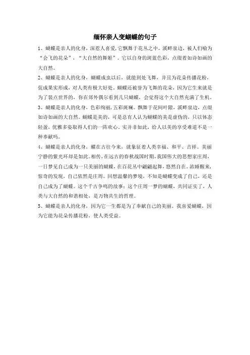 缅怀亲人变蝴蝶的句子