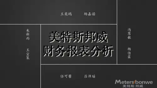 美特斯邦威财务报表分析
