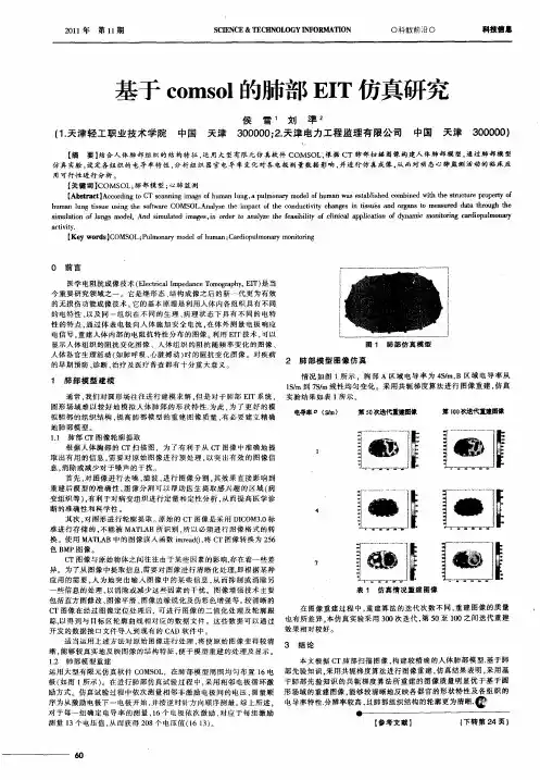 基于comsol的肺部EIT仿真研究