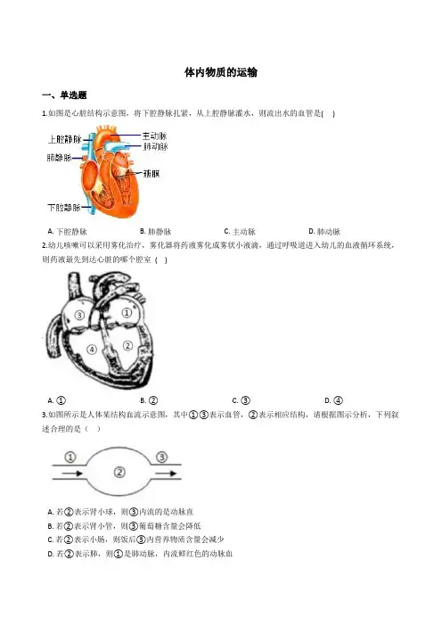 4.3体内物质的运输 同步练习(含解析) (2)