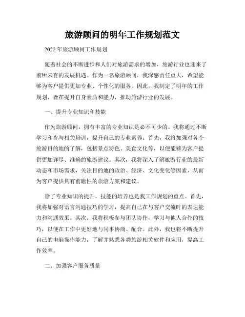 旅游顾问的明年工作规划范文