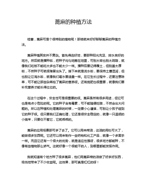 蓖麻的种植方法