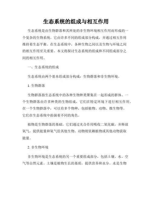 生态系统的组成与相互作用