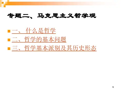 2016专题二  马克思主义哲学观