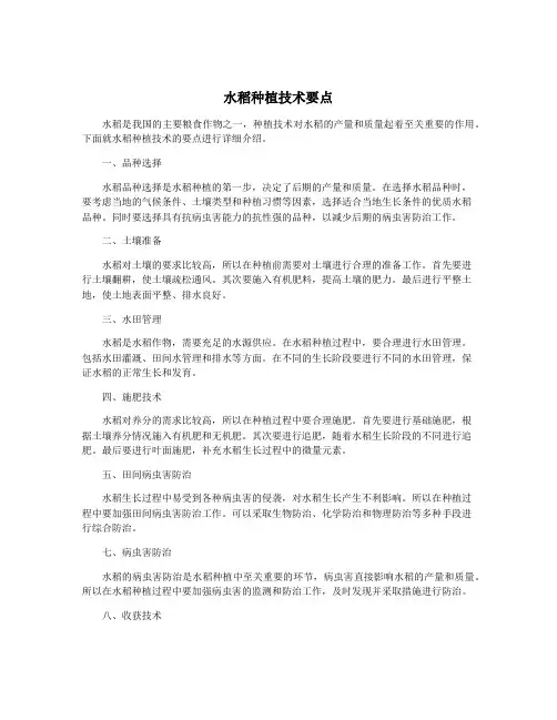 水稻种植技术要点