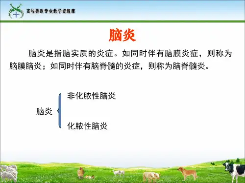 1非化脓性脑炎