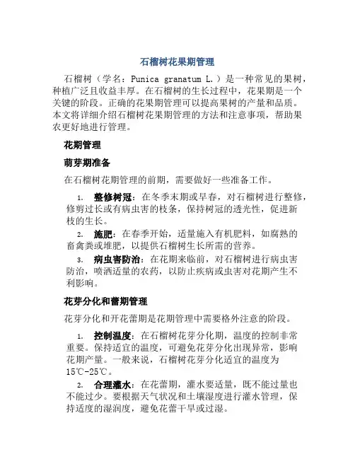 石榴树花果期管理