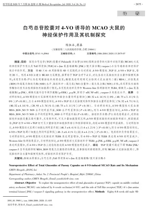 白芍总苷胶囊对4-VO诱导的MCAO大鼠的神经保护作用及其机制探究