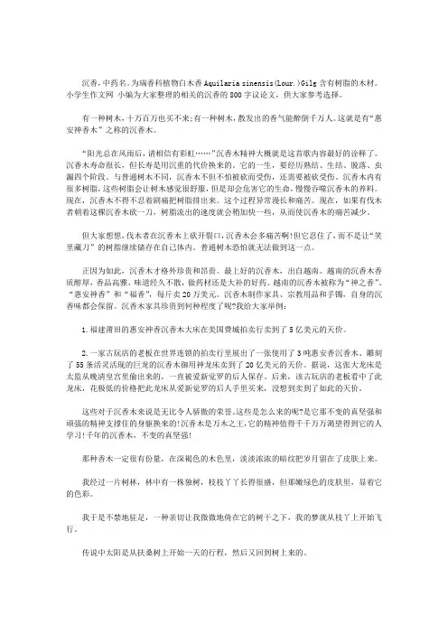 [华天下沉香]沉香的800字议论文三篇