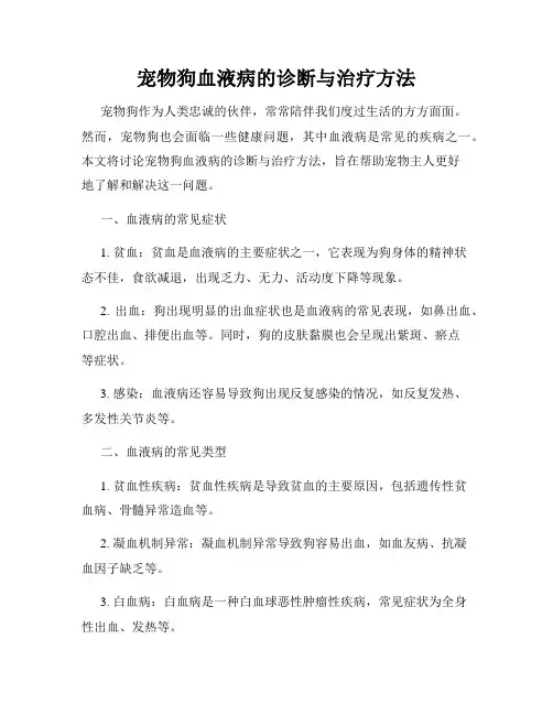 宠物狗血液病的诊断与治疗方法