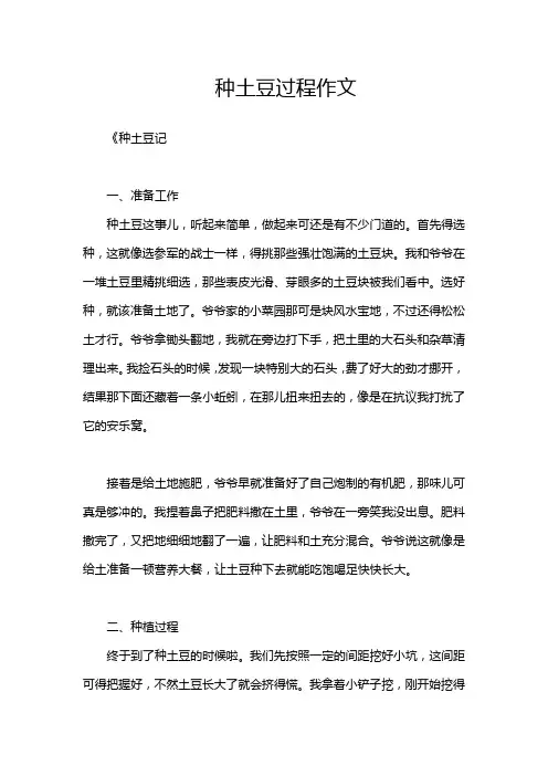 种土豆过程作文