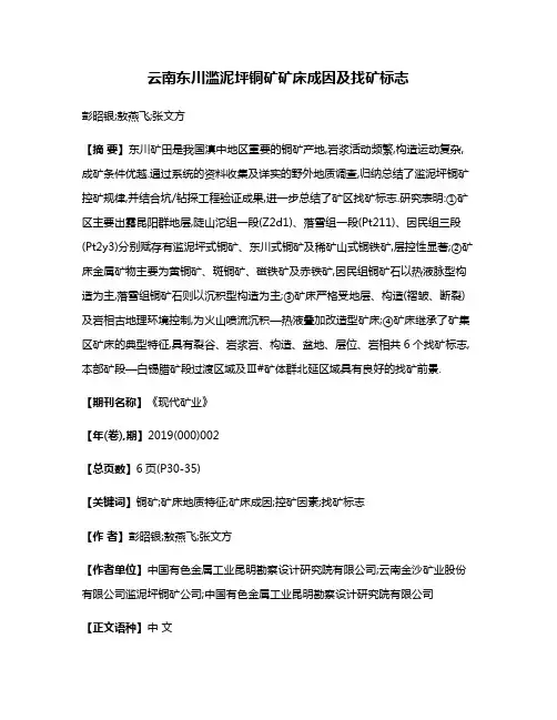 云南东川滥泥坪铜矿矿床成因及找矿标志