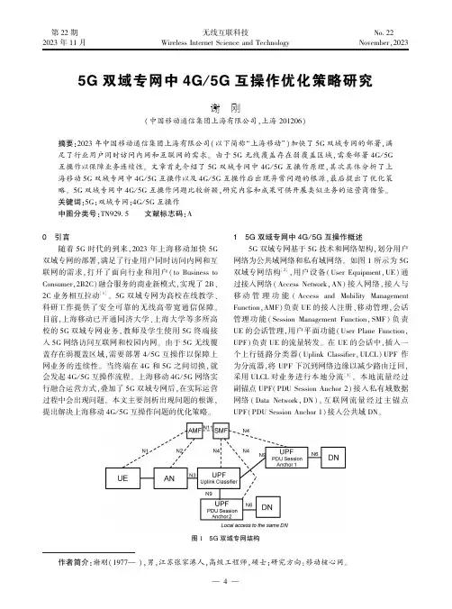 5G_双域专网中4G