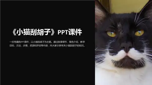 《小猫刮胡子》课件