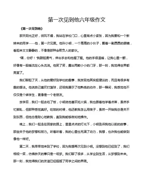 第一次见到他六年级作文