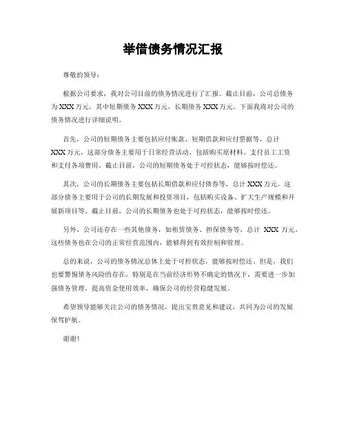 举借债务情况汇报