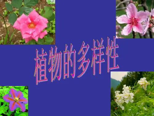 植物的多样性
