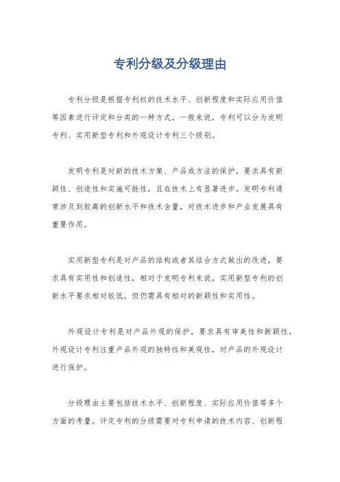 专利分级及分级理由