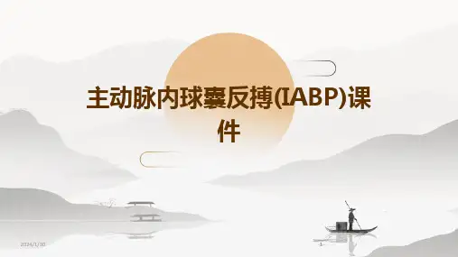 2024版主动脉内球囊反搏(IABP)课件