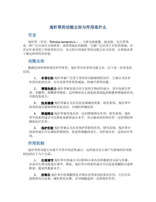 鬼针草的功能主治与作用是什么